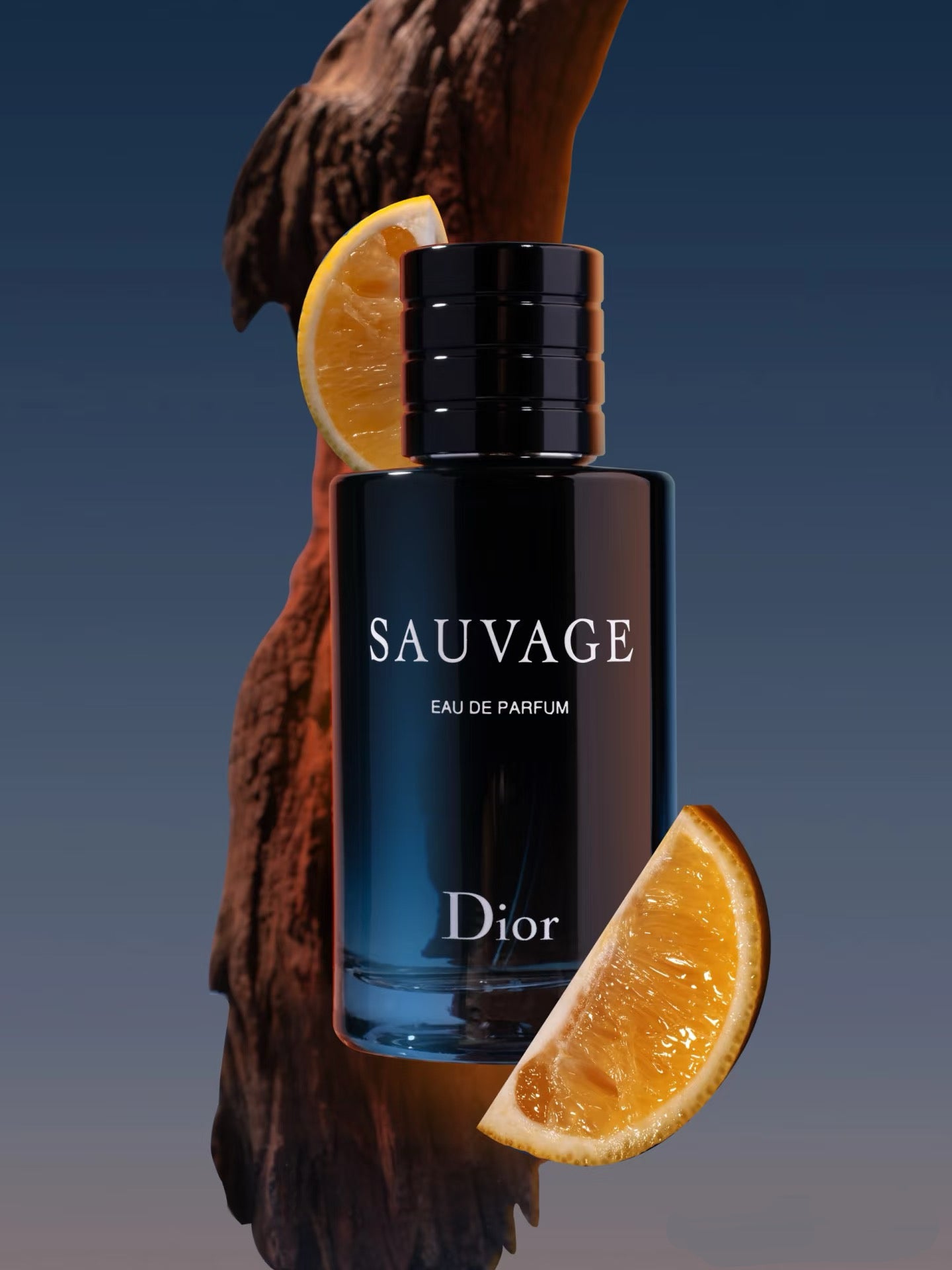DIOR Sauvage Eau de Parfum 100ML