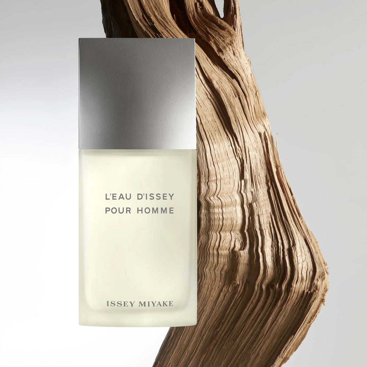 Issey Miyake L'eau D'issey Pour Homme Eau De Toilette 125ml