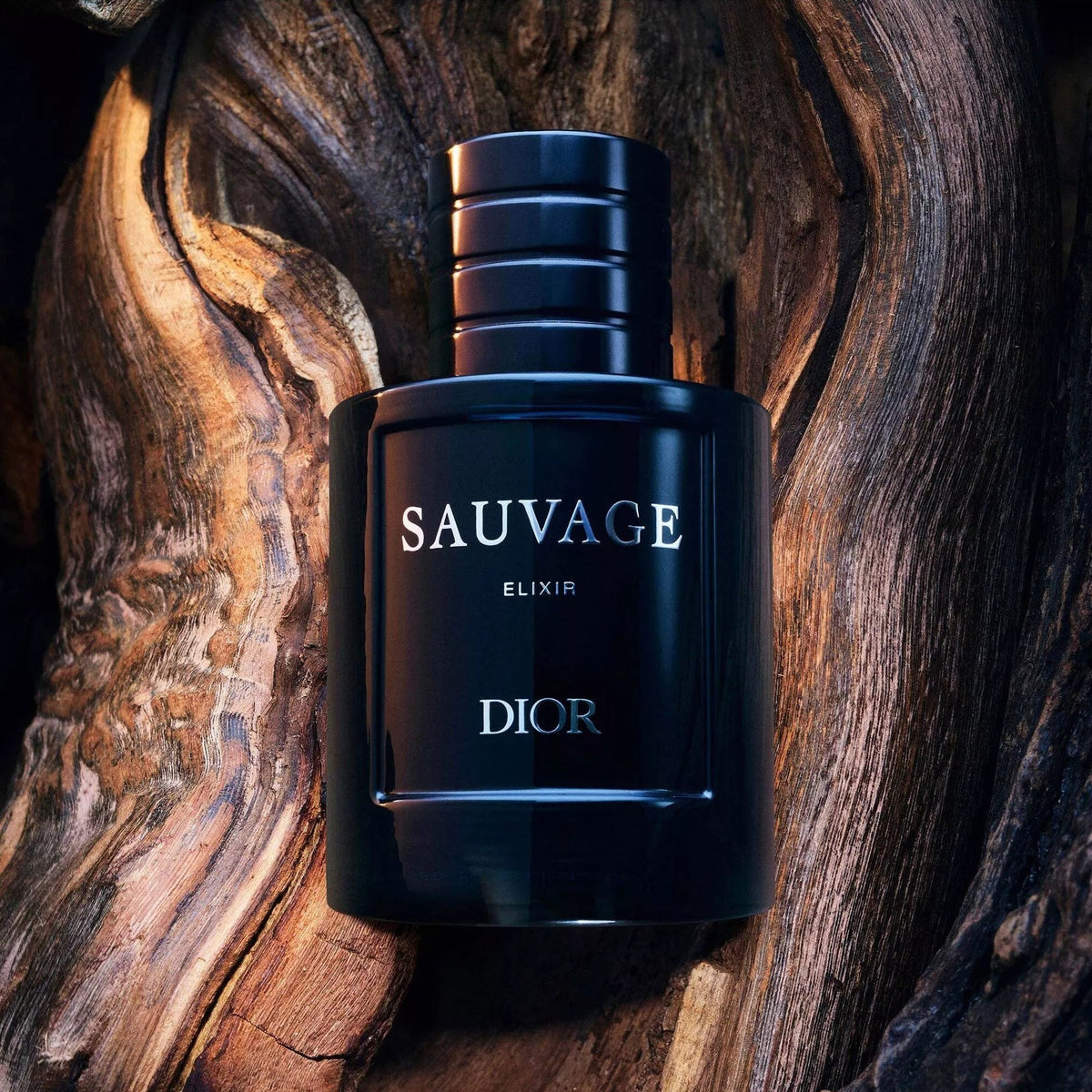 Christian Dior Sauvage Elixir 100ml For Men