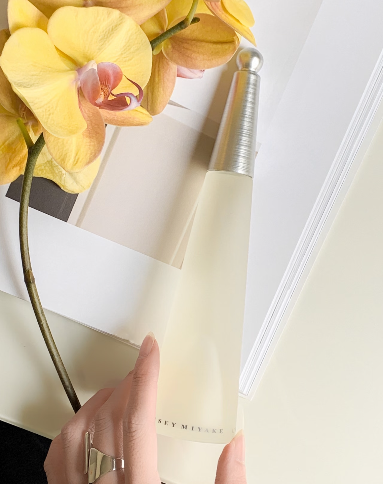 Issey Miyake L'Eau D'Issey Eau de Parfum Woman 100ML