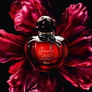 Christian Dior Hypnotic Poison Eau De Parfum 100ml For Women
